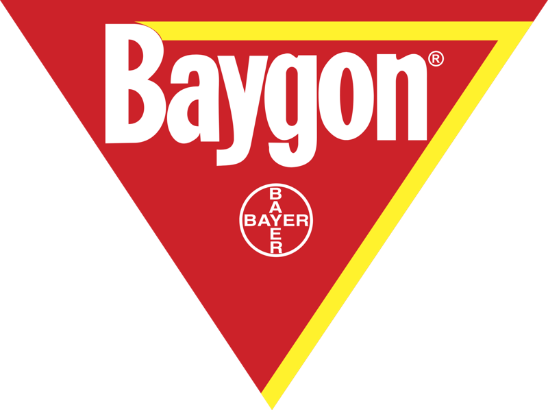 Baygon